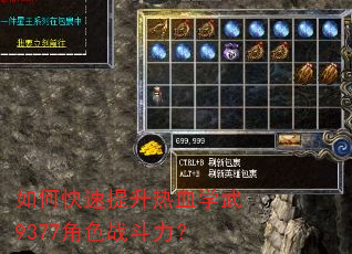 如何快速提升热血学武9377角色战斗力? 如何快速提升热血学武9377角色战斗力?