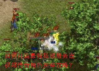 如何打造最强私域服务器视频传奇角色完整攻略? 如何打造最强私域服务器视频传奇角色完整攻略?