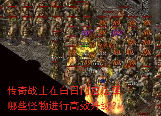 传奇战士在白日门应选择哪些怪物进行高效升级? 传奇战士在白日门应选择哪些怪物进行高效升级?