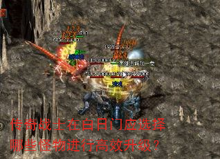 传奇战士在白日门应选择哪些怪物进行高效升级? 传奇战士在白日门应选择哪些怪物进行高效升级?