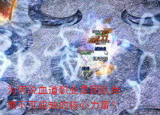 为何说血道职业是团队后期不可或缺的核心力量? 为何说血道职业是团队后期不可或缺的核心力量?