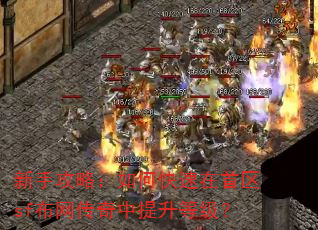 新手攻略:如何快速在首区sf布网传奇中提升等级? 新手攻略:如何快速在首区sf布网传奇中提升等级?