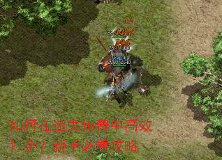 如何在迷失传奇中高效打金?新手必看攻略 如何在迷失传奇中高效打金?新手必看攻略
