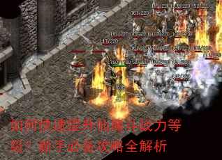 如何快速提升仙魔斗战力等级?新手必备攻略全解析 如何快速提升仙魔斗战力等级?新手必备攻略全解析
