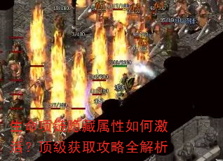 生命项链隐藏属性如何激活?顶级获取攻略全解析 生命项链隐藏属性如何激活?顶级获取攻略全解析