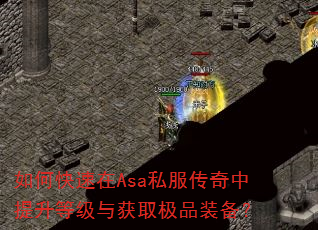 如何快速在Asa私服传奇中提升等级与获取极品装备? 如何快速在Asa私服传奇中提升等级与获取极品装备?