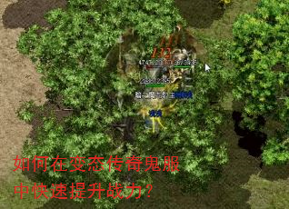 如何在变态传奇鬼服中快速提升战力? 如何在变态传奇鬼服中快速提升战力?