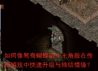 �����ԧ������������ǰ��ڴ�����Ϸ�п���������޽���Ե��